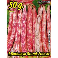 Barbunya Tohumu Oturak Fransız Tipi - 50 gr Barbunya Tohumu Oturak Fransız Tipi - 50 gr