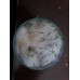 Biber Tohumu Toros Yukarı Bakan Yeşil Süs - 3 g (~ Takribi 240 Tohum)