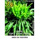 Biber Tohumu Toros Yukarı Bakan Yeşil Süs - 3 g (~ Takribi 240 Tohum)