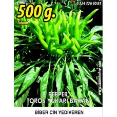Biber Tohumu Toros Yukarı Bakan Yeşil Süs - 500g