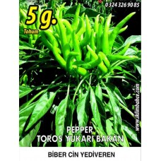 Biber Tohumu Toros Yukarı Bakan Yeşil Süs - 5 g (~ Takribi 400 Tohum)