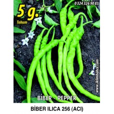 Biber Tohumu Ilıca 256 Acı Sivri 5 g. (~ Takribi 750 Tohum) Biber Tohumu Ilıca 256 Acı Sivri 5 g. (~ Takribi 750 Tohum)