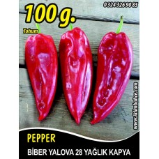 Biber Tohumu Yalova Yağlık 28 - 100 g Biber Tohumu Yalova Yağlık 28 - 100 g