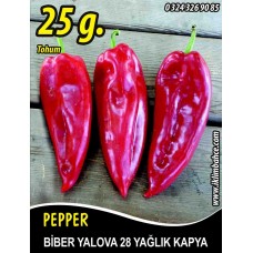 Biber Tohumu Yalova Yağlık 28 - 25 g (~ Takribi 2000 Tohum) Biber Tohumu Yalova Yağlık 28 - 25 g (~ Takribi 2000 Tohum)
