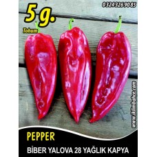 Biber Tohumu Yalova Yağlık 28 / - 5 g (~ Takribi 400 Tohum) Biber Tohumu Yalova Yağlık 28 / - 5 g (~ Takribi 400 Tohum)