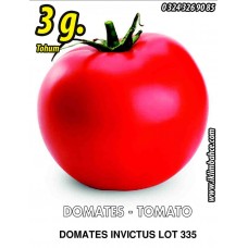 Domates Tohumu Invictus Lot 335 / - 3g  (~ Takribi 450 Tohum)