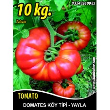 Domates Tohumu Mermande - Köy Tipi - Yayla - 10 KG Domates Tohumu Mermande - Köy Tipi - Yayla - 10 KG
