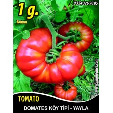Domates Tohumu Mermande - Köy Tipi - Yayla - 1g (~ Takribi 150 Tohum) Domates Tohumu Mermande - Köy Tipi - Yayla - 1g (~ Takribi 150 Tohum)