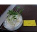 Hıyar Tohumu Salatalık Çengelköy - 10 g (~ Takribi 200 Tohum)