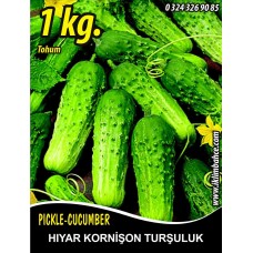 Hıyar Tohumu Salatalık Kornişon Turşuluk - 1 Kg Hıyar Tohumu Salatalık Kornişon Turşuluk - 1 Kg