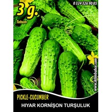 Hıyar Tohumu Salatalık Kornişon Turşuluk - 3 g (~ Takribi 60 Tohum) Hıyar Tohumu Salatalık Kornişon Turşuluk - 3 g (~ Takribi 60 Tohum)