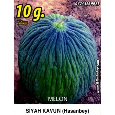Kavun Tohumu Hasan Bey 1 /- 10g (~ Takribi 140 Tohum) Kavun Tohumu Hasan Bey 1 /- 10g (~ Takribi 140 Tohum)