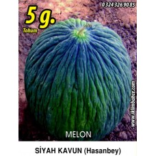 Kavun Tohumu Hasan Bey 1 /- 5g (~ Takribi 70 Tohum) Kavun Tohumu Hasan Bey 1 /- 5g (~ Takribi 70 Tohum)