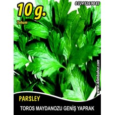 Maydanoz Tohumu Toros Maydanozu - 10 g (~ Takribi 4000 Tohum) Maydanoz Tohumu Toros Maydanozu - 10 g (~ Takribi 4000 Tohum)