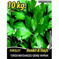 Maydanoz Tohumu Toros Maydanozu 10 KG (Yerli) İlaçlı-Renkli Maydanoz Tohumu Toros Maydanozu 10 KG (Yerli) İlaçlı-Renkli