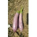 Patlıcan Tohumu Manisa (Kır) 5 g. (~ Takribi 650 Tohum)