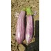 Patlıcan Tohumu Manisa (Kır) 3 g. (~ Takribi 400 Tohum)