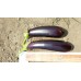 Patlıcan Tohumu Pala 49 - 25g (~ Takribi 3250 Tohum)
