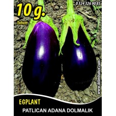 Patlıcan Tohumu Adana Dolmalık - 10 g (~ Takribi 1350 Tohum)