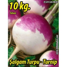 Şalgam Tohumu Turpu - 10 KG