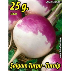Şalgam Turpu Tohumu - 25 g. (~ Takribi 1500 Tohum)