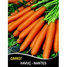 Havuç Tohumu Scarlet Nantes - 1 KG Havuç Tohumu Scarlet Nantes - 1 KG