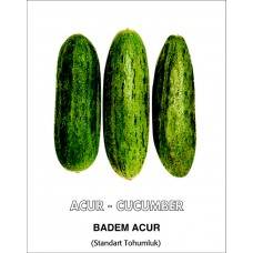 Acur Tohumu Badem - Tüylü 5 G. (~ Takribi 80 Tohum) Acur Tohumu Badem - Tüylü 5 G. (~ Takribi 80 Tohum)
