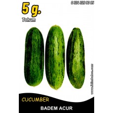 Acur Tohumu Badem - Tüylü 5 G. (~ Takribi 80 Tohum)
