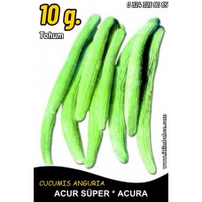 Acur Tohumu Kerem (Beyaz) - 10 G (~ Takribi 150 Tohum) Acur Tohumu Kerem (Beyaz) - 10 G (~ Takribi 150 Tohum)