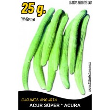 Acur Tohumu Kerem (Beyaz) - 25 G. (~ Takribi 375 Tohum) Acur Tohumu Kerem (Beyaz) - 25 G. (~ Takribi 375 Tohum)