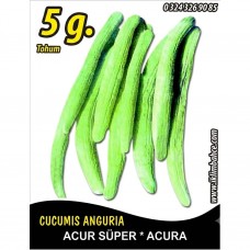 Acur Tohumu Kerem (Beyaz) - 5 G (~ Takribi 80 Tohum) Acur Tohumu Kerem (Beyaz) - 5 G (~ Takribi 80 Tohum)