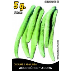 Acur Tohumu Kerem (Beyaz) - 5 G (~ Takribi 80 Tohum) Acur Tohumu Kerem (Beyaz) - 5 G (~ Takribi 80 Tohum)