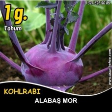 Alabaş Tohumu Mor - 1 Gr (~ Takribi 150 Tohum)