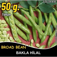Bakla Tohumu Hilal - 50 G (~ Takribi 90 Tohum) Bakla Tohumu Hilal - 50 G (~ Takribi 90 Tohum)