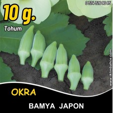 Bamya Tohumu Japon- 10 G  (~ Takribi 100 Tohum)
