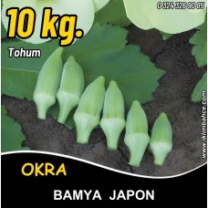 Bamya Tohumu Japon - 10 Kg