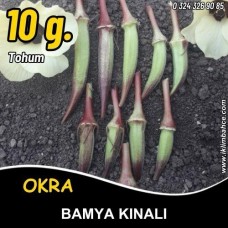 Bamya Tohumu Kınalı - 10 Gr (~ Takribi 100 Tohum) Bamya Tohumu Kınalı - 10 Gr (~ Takribi 100 Tohum)