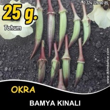 BAMYA TOHUMU KINALI - 25 GR (~ TAKRİBİ 250 TOHUM) BAMYA TOHUMU KINALI - 25 GR (~ TAKRİBİ 250 TOHUM)