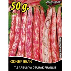 Barbunya Tohumu Oturak Fransız Tipi - 50 Gr Barbunya Tohumu Oturak Fransız Tipi - 50 Gr