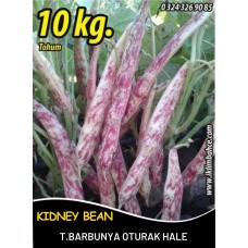 Barbunya Tohumu Oturak Hale - 10 Kg Barbunya Tohumu Oturak Hale - 10 Kg