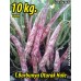 Barbunya Tohumu Oturak Hale - 10 Kg