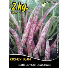 Barbunya Tohumu Oturak Hale - 2 Kg Barbunya Tohumu Oturak Hale - 2 Kg