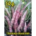 Barbunya Tohumu Oturak Hale - 50 G.