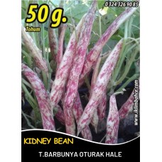 Barbunya Tohumu Oturak Hale - 50 G.
