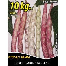 Barbunya Tohumu Sırık Defne - 10 Kg Barbunya Tohumu Sırık Defne - 10 Kg