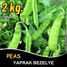 Bezelye Tohumu Tırabi Yaprak - 2 Kg
