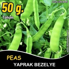 Bezelye Tohumu Tırabi Yaprak - 50G
