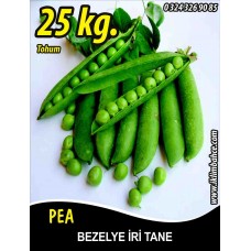 Bezelye Tohumu Utrillo Araka İri Tane - 25 Kg