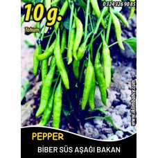Biber Tohumu Aşağıbakan Yeşil Süs - 10G (~ Takribi 800 Tohum) Biber Tohumu Aşağıbakan Yeşil Süs - 10G (~ Takribi 800 Tohum)