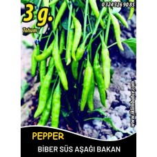 Biber Tohumu Aşağıbakan Yeşil Süs - 3 G (~ Takribi 240 Tohum) Biber Tohumu Aşağıbakan Yeşil Süs - 3 G (~ Takribi 240 Tohum)